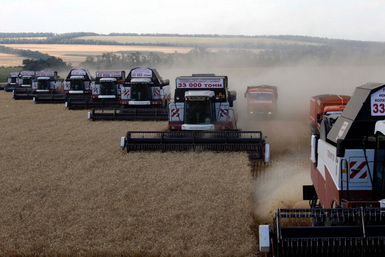 Пошлины на экспорт зерна из РФ оказались эффективной мерой – МЭР